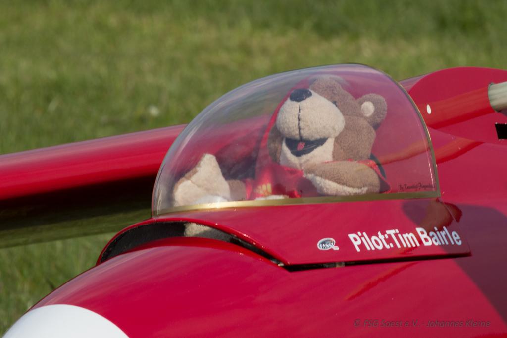 ProWing 2013